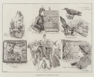 Vogelkäfig-Ausstellung im Crystal Palace